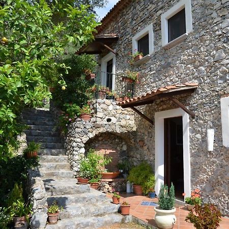 Agrestis Domus Pension San Giovanni a Piro Buitenkant foto