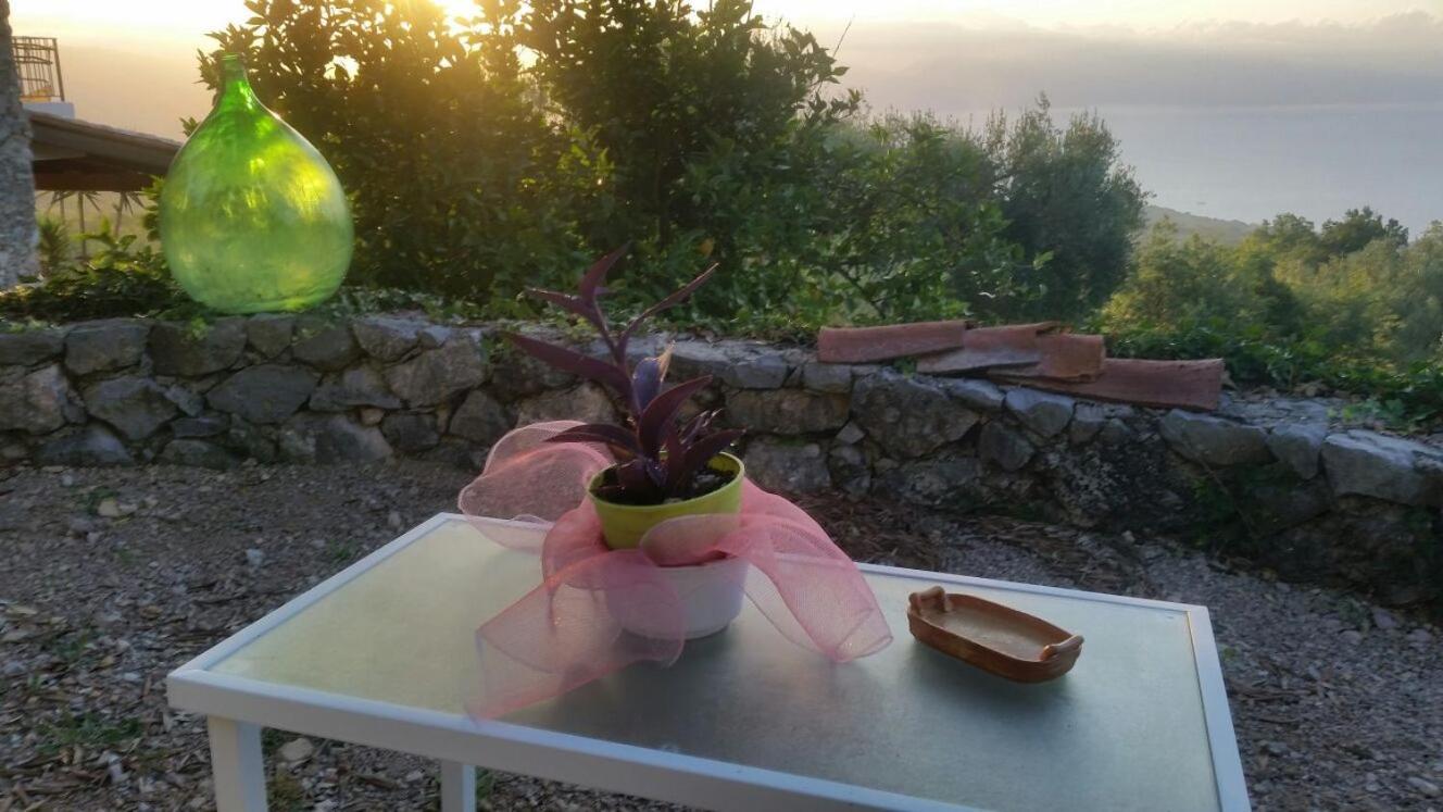 Agrestis Domus Pension San Giovanni a Piro Buitenkant foto