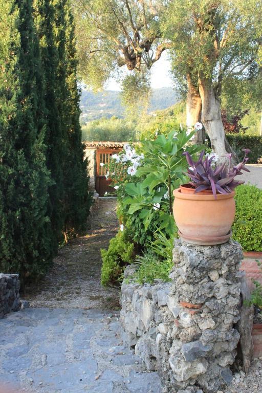 Agrestis Domus Pension San Giovanni a Piro Buitenkant foto