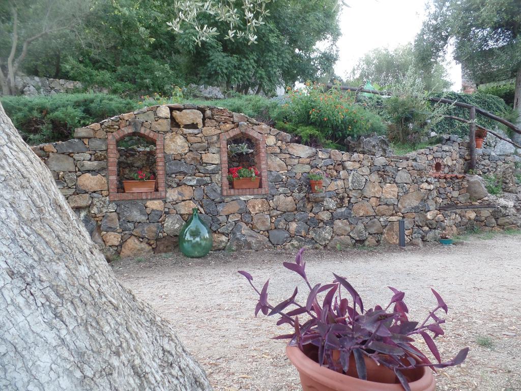 Agrestis Domus Pension San Giovanni a Piro Buitenkant foto